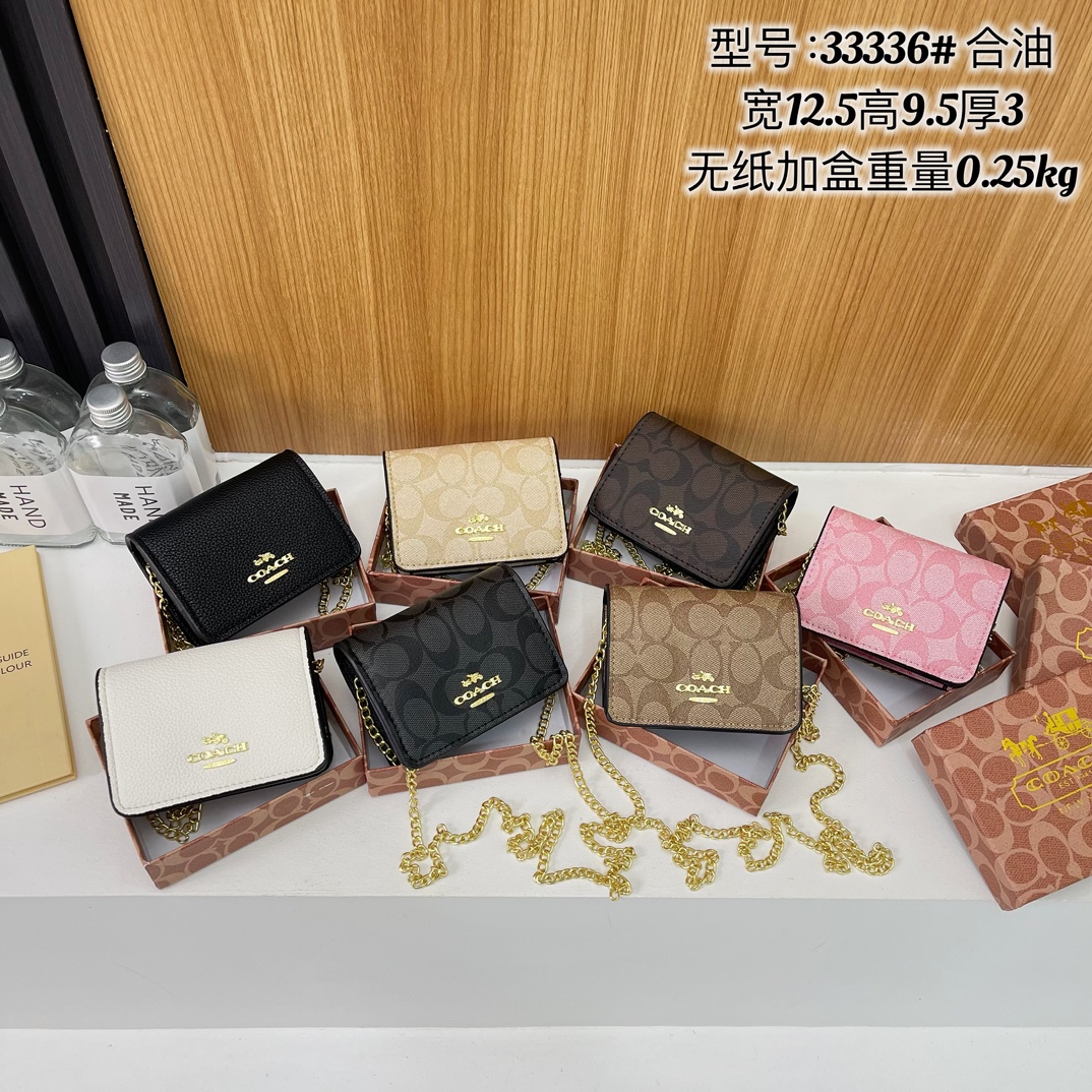 Coach Chain Bag