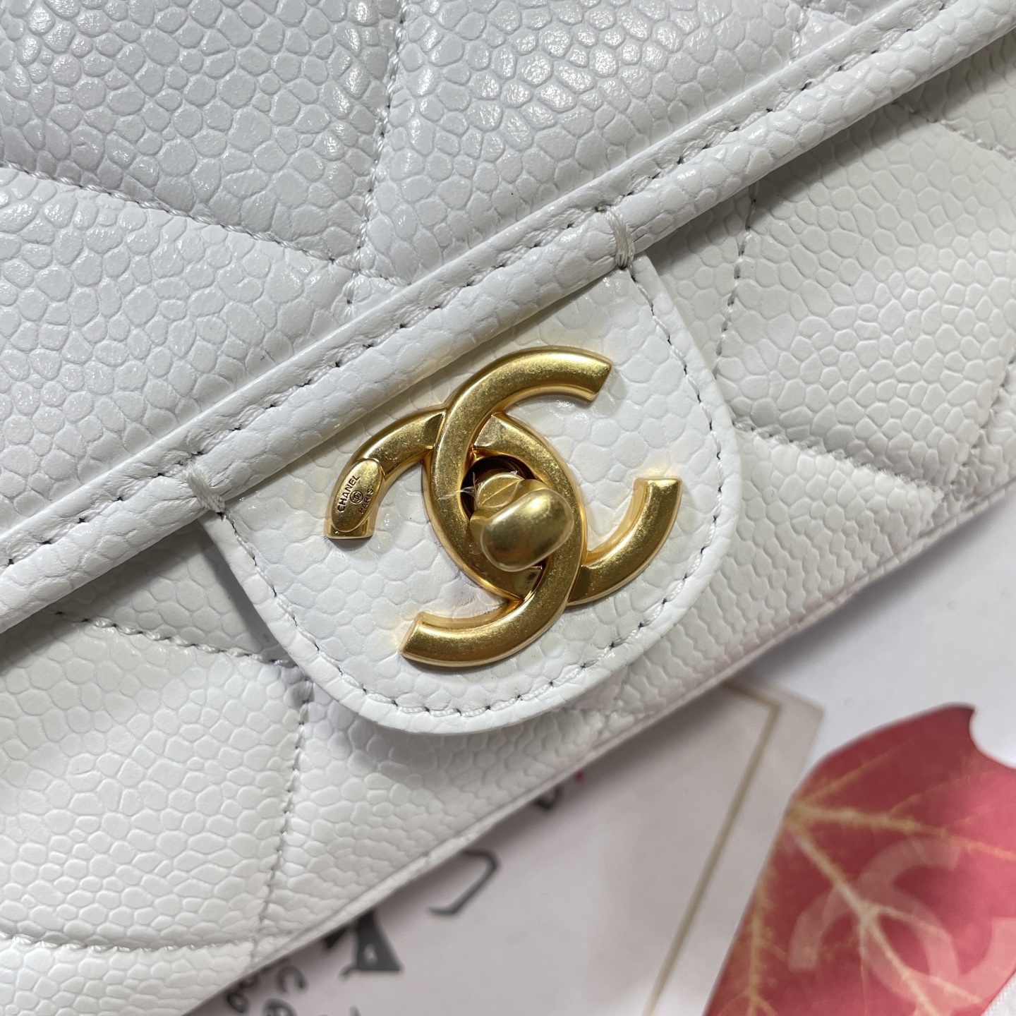 AS5147: Affordable Imported Pelvis with Radiant Front Line Design - 图片 6