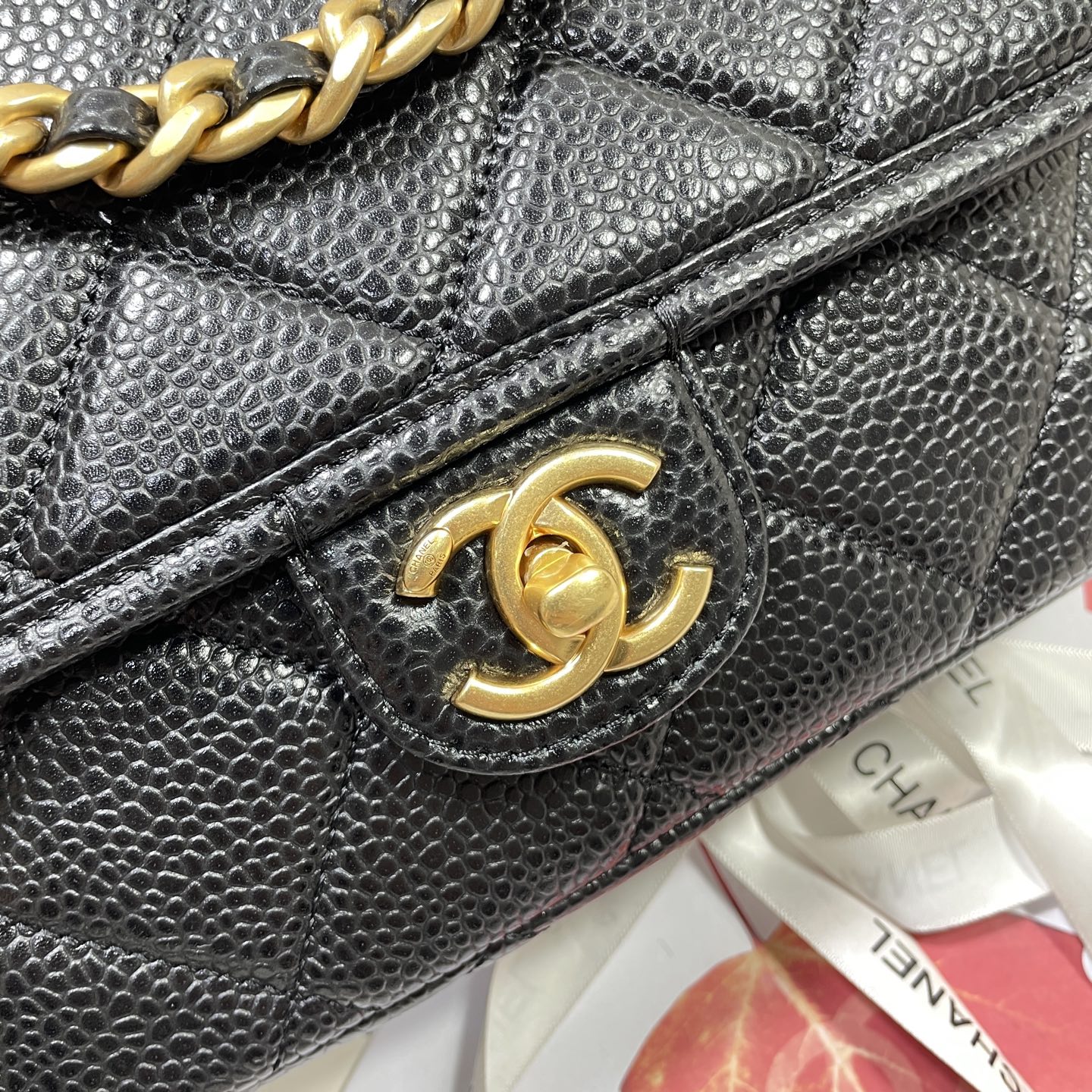 AS5147: Affordable Imported Pelvis Model with Radiant Design and Noble Appearance - 图片 6