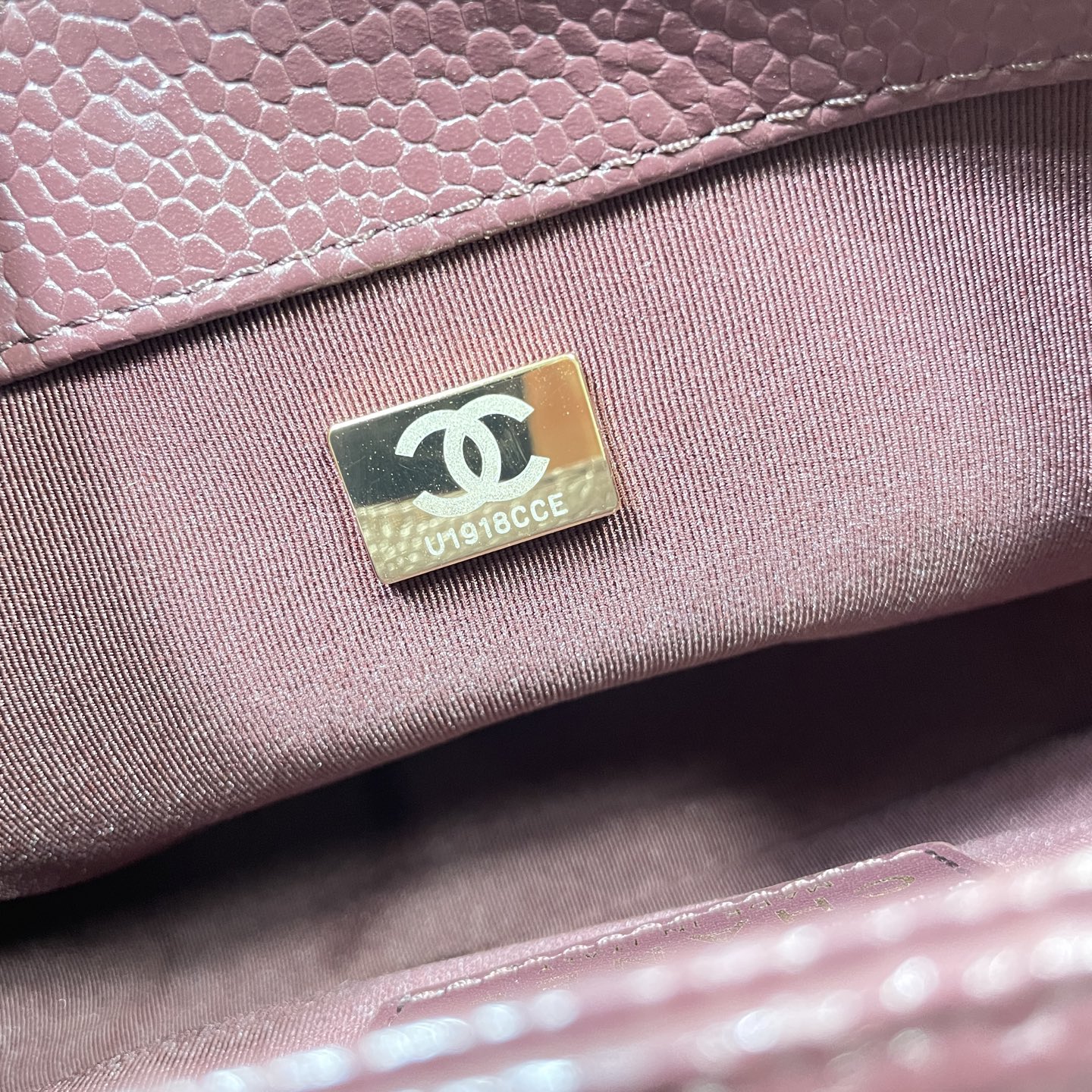 ASA 5146: Noble Imported Oxen Skin, Frontline Beauty and Air. - 图片 9