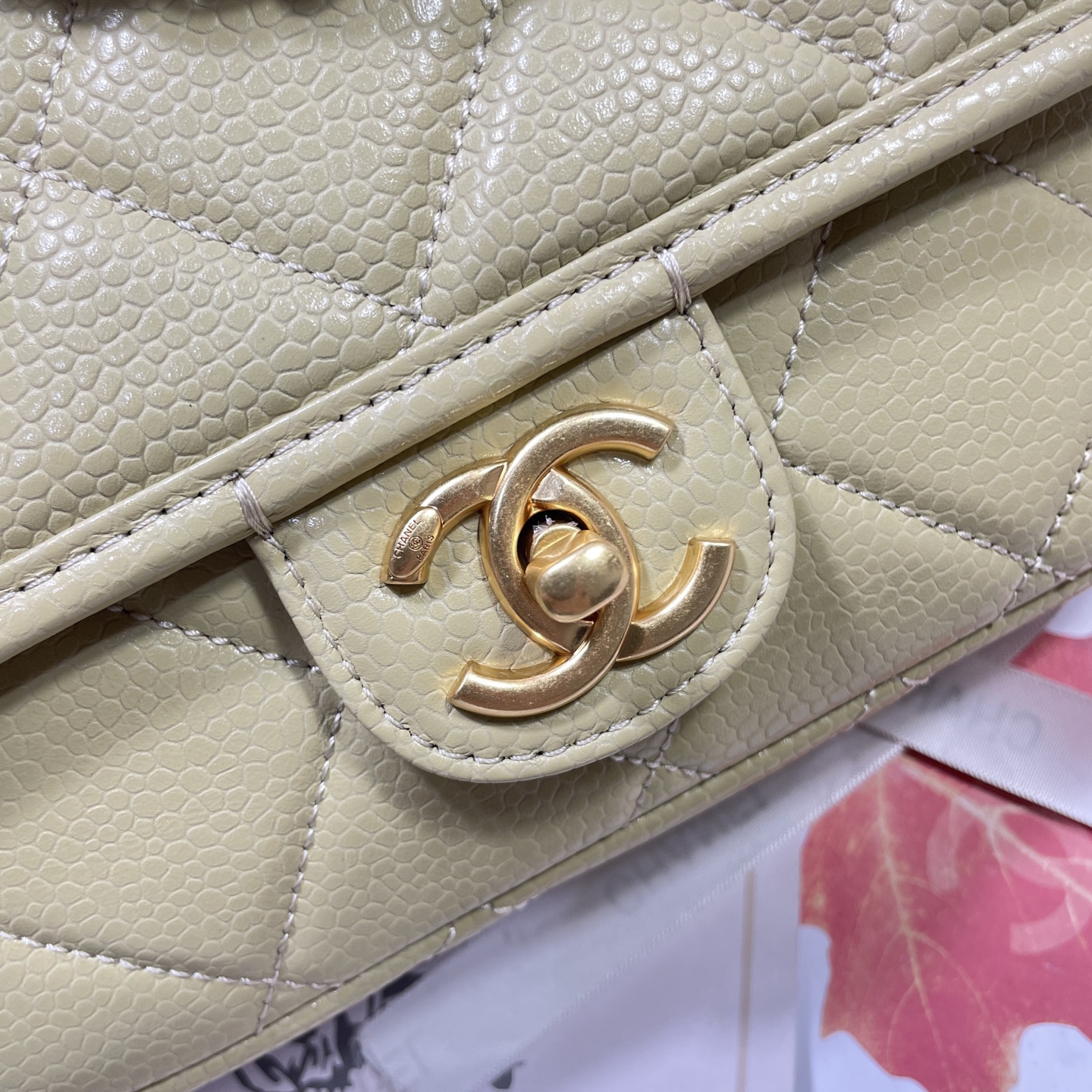 AS5147 Cheap Model: Classic Imported Pelvis with Radiant Design (Dimensions: 23cm/16cm/6cm) - 图片 6
