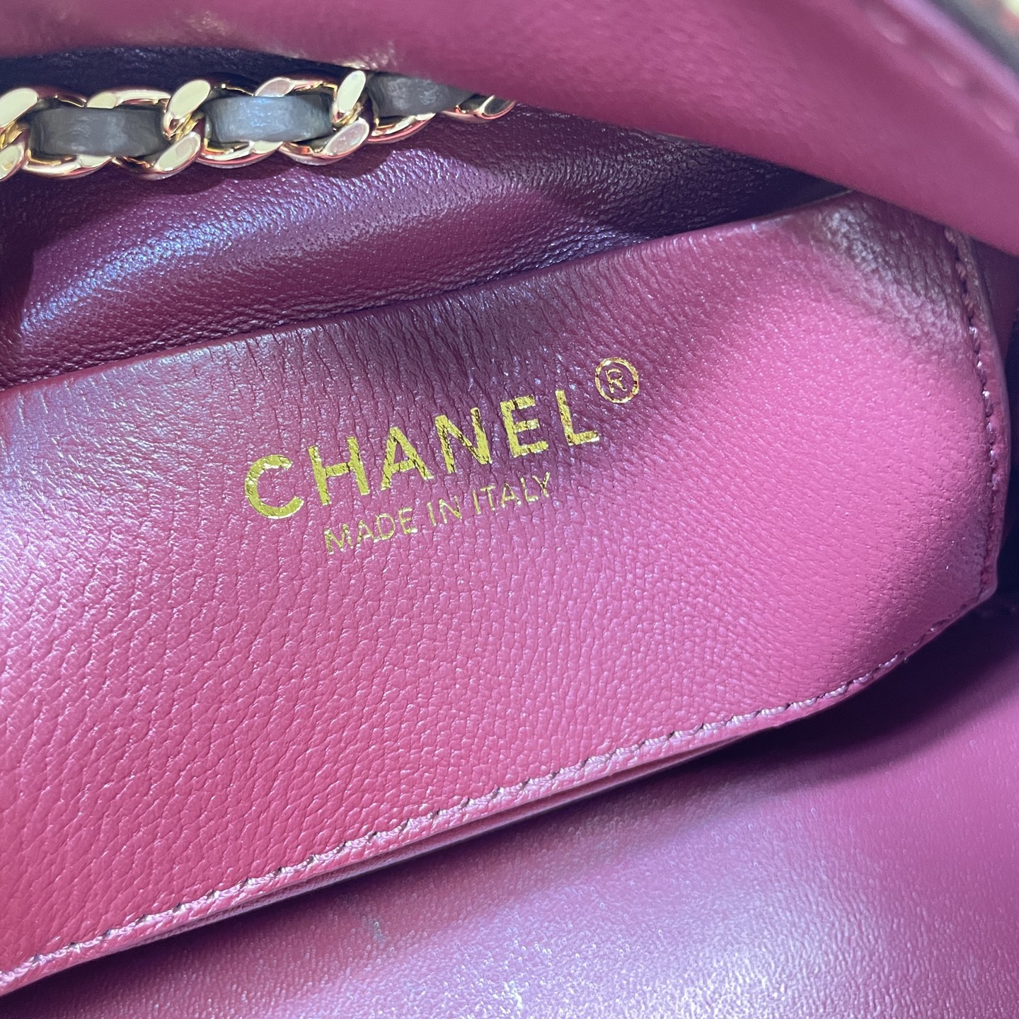 Chanel Luxury Handbag Collection 9