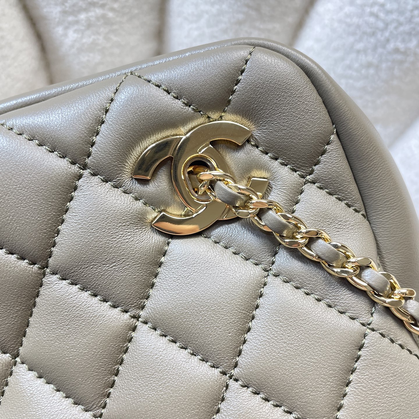 Chanel Luxury Handbag Collection 5