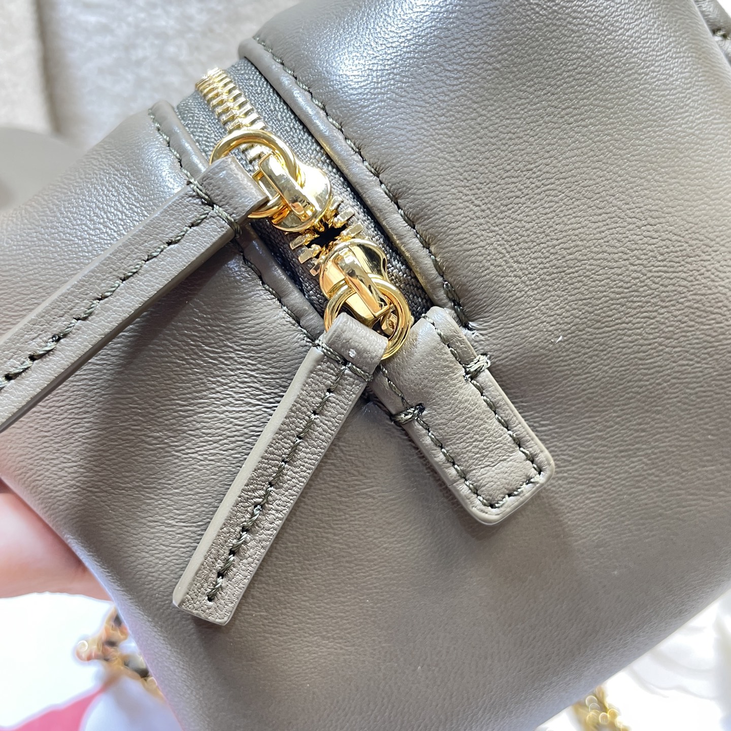 Chanel Luxury Handbag Collection 6