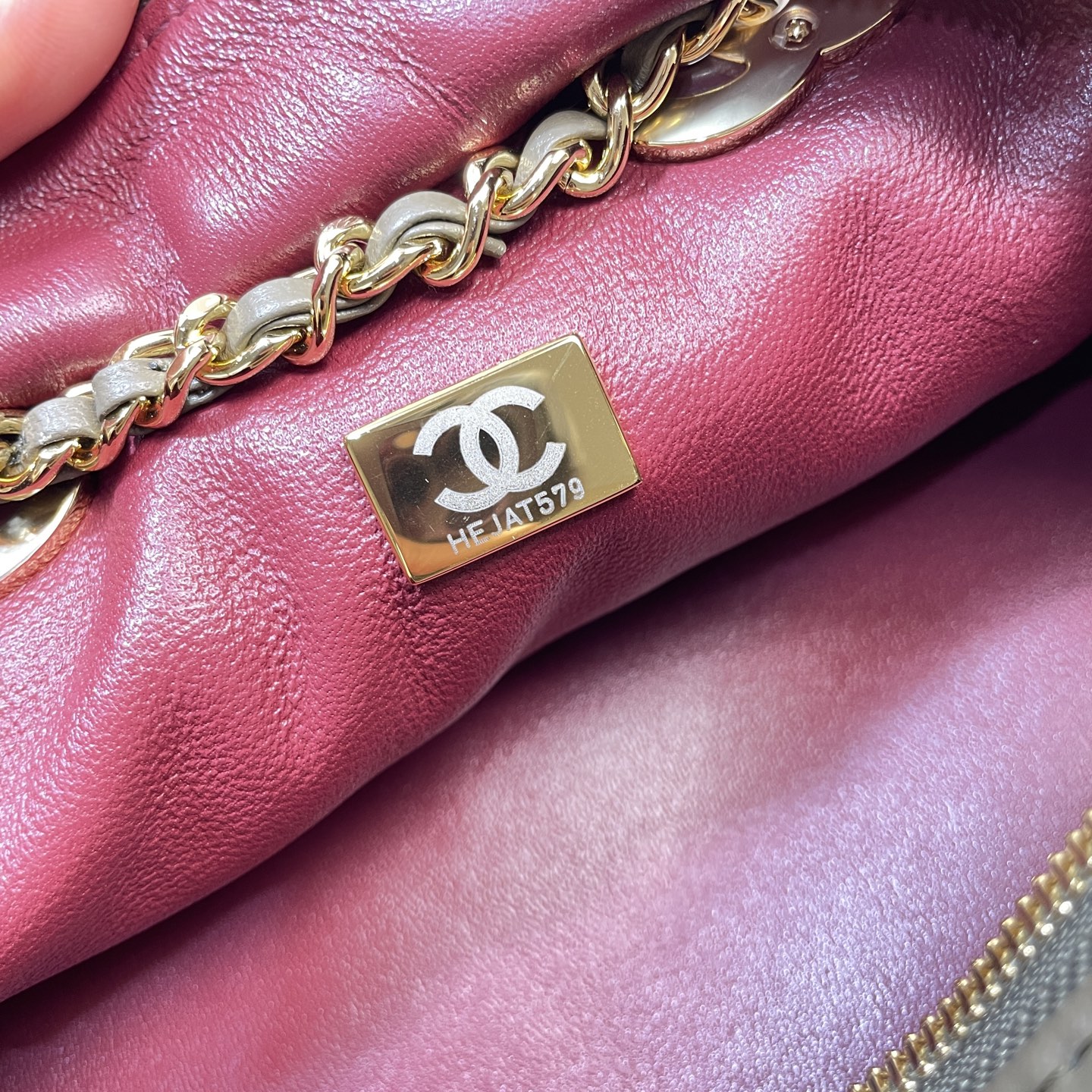 Chanel Luxury Handbag Collection 8