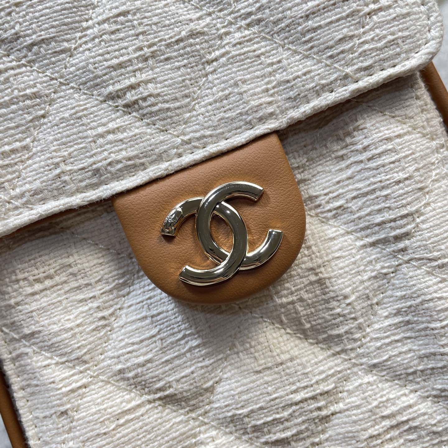 Chanel Luxury Handbag Collection 7
