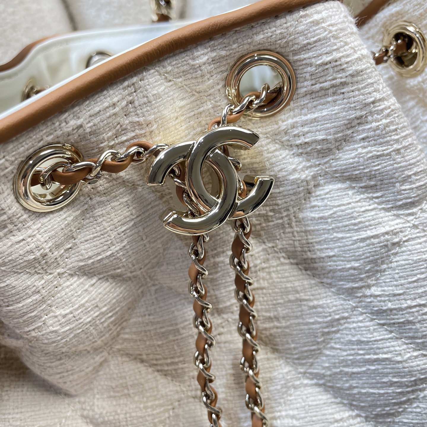 Chanel Luxury Handbag Collection 6
