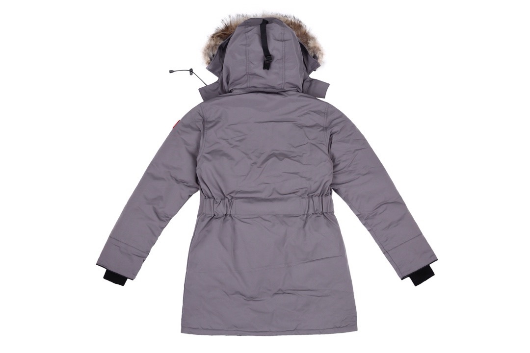 Section number: CDC Y96 Top supply, gray Canada Goose/Canadian Goose 07 female feathers - 图片 2