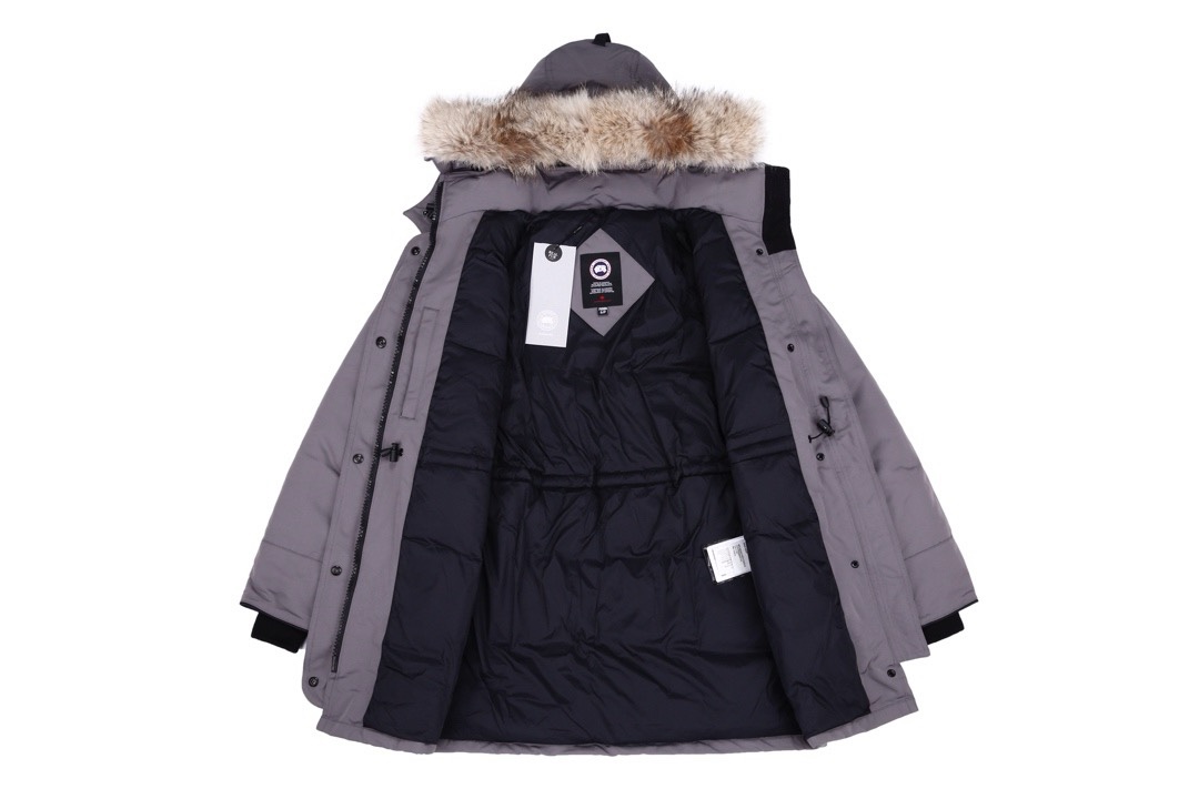 Section number: CDC Y96 Top supply, gray Canada Goose/Canadian Goose 07 female feathers - 图片 3