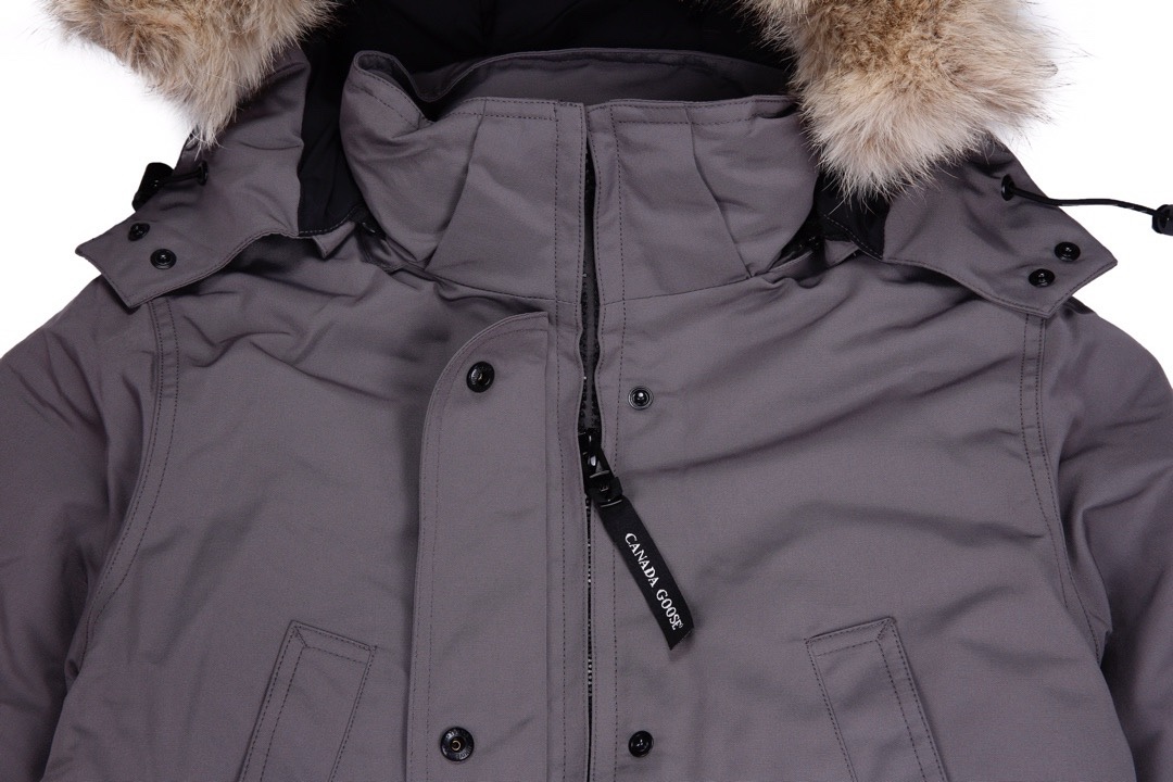 Section number: CDC Y96 Top supply, gray Canada Goose/Canadian Goose 07 female feathers - 图片 5
