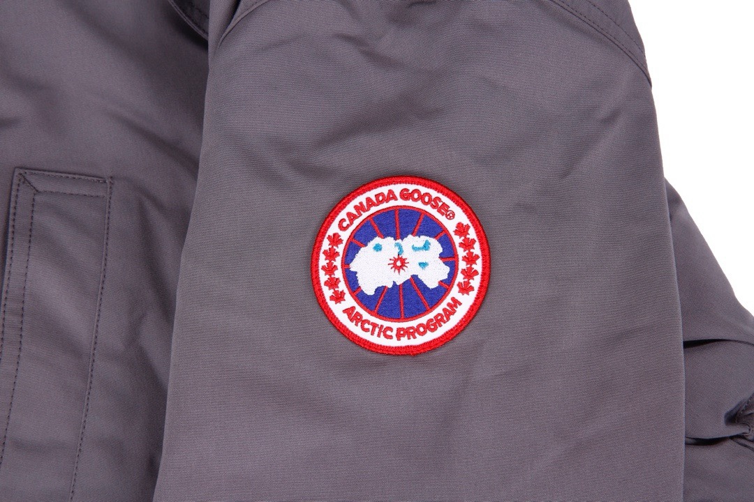 Section number: CDC Y96 Top supply, gray Canada Goose/Canadian Goose 07 female feathers - 图片 7