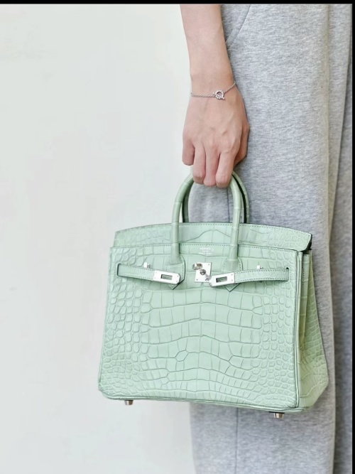 Hermès Birkin 25 Mint Green Alligator Palladium Hardware Handbag 1 Hermès Birkin 25 Mint Green Alligator Palladium Hardware Handbag