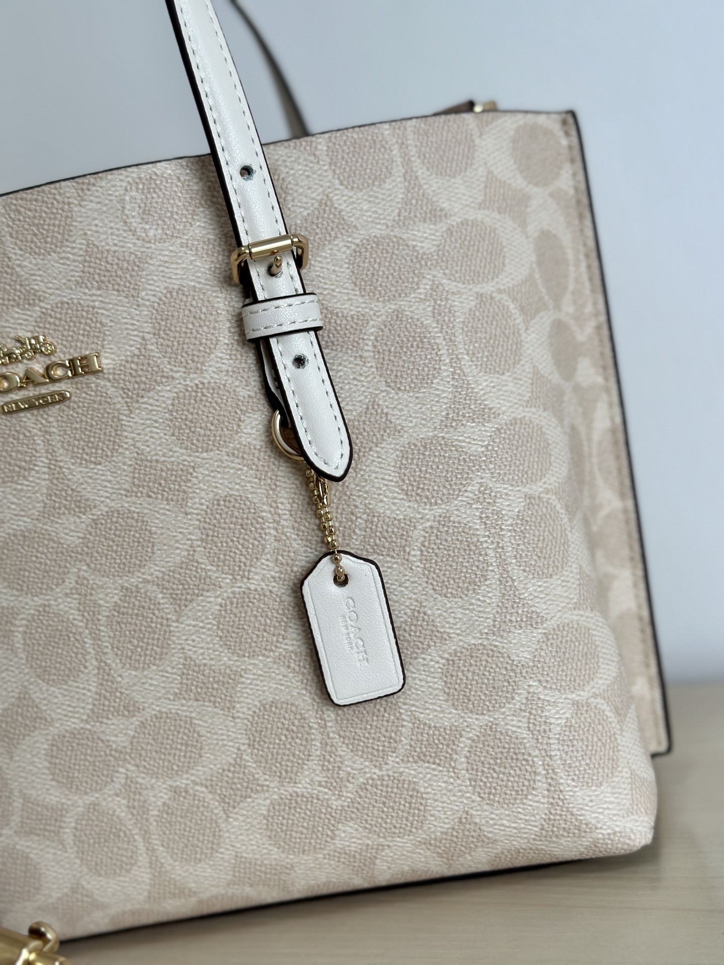 Coach ～纯原coach蔻驰CV965 Mollie25系列 托特斜挎包