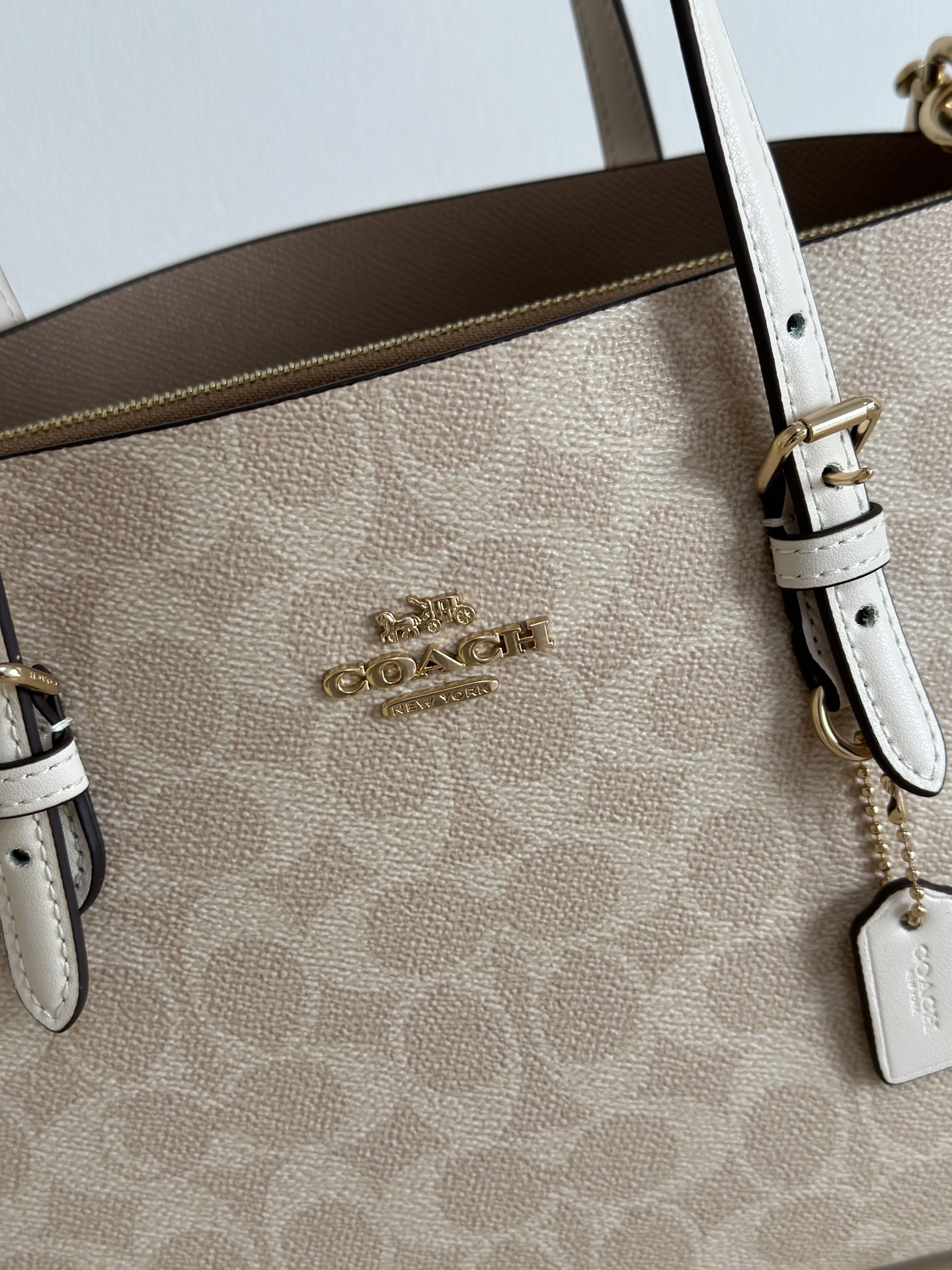 Coach ～纯原coach蔻驰CV965 Mollie25系列 托特斜挎包