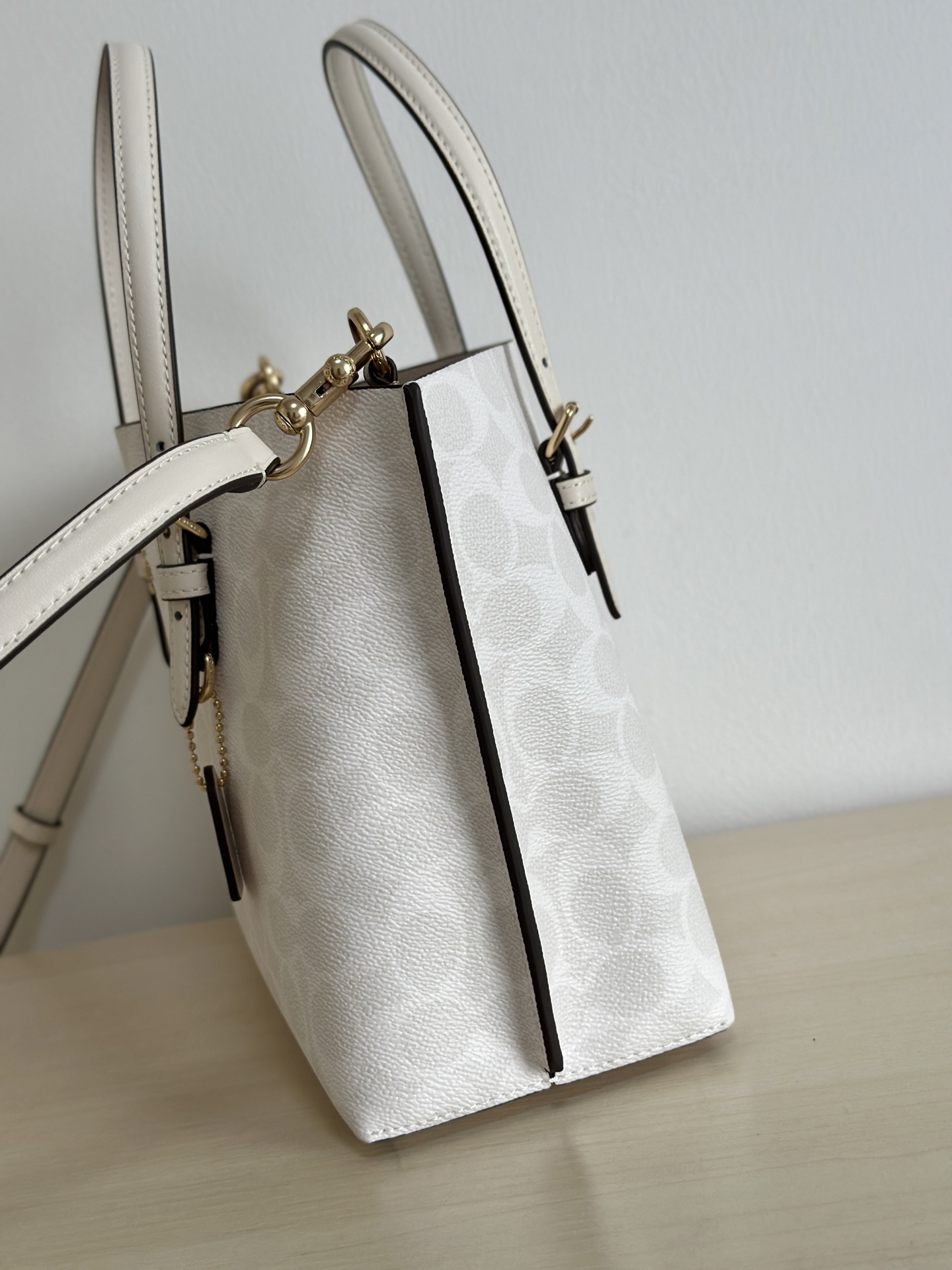 Coach ～纯原coach蔻驰CV965 Mollie25系列 托特斜挎包