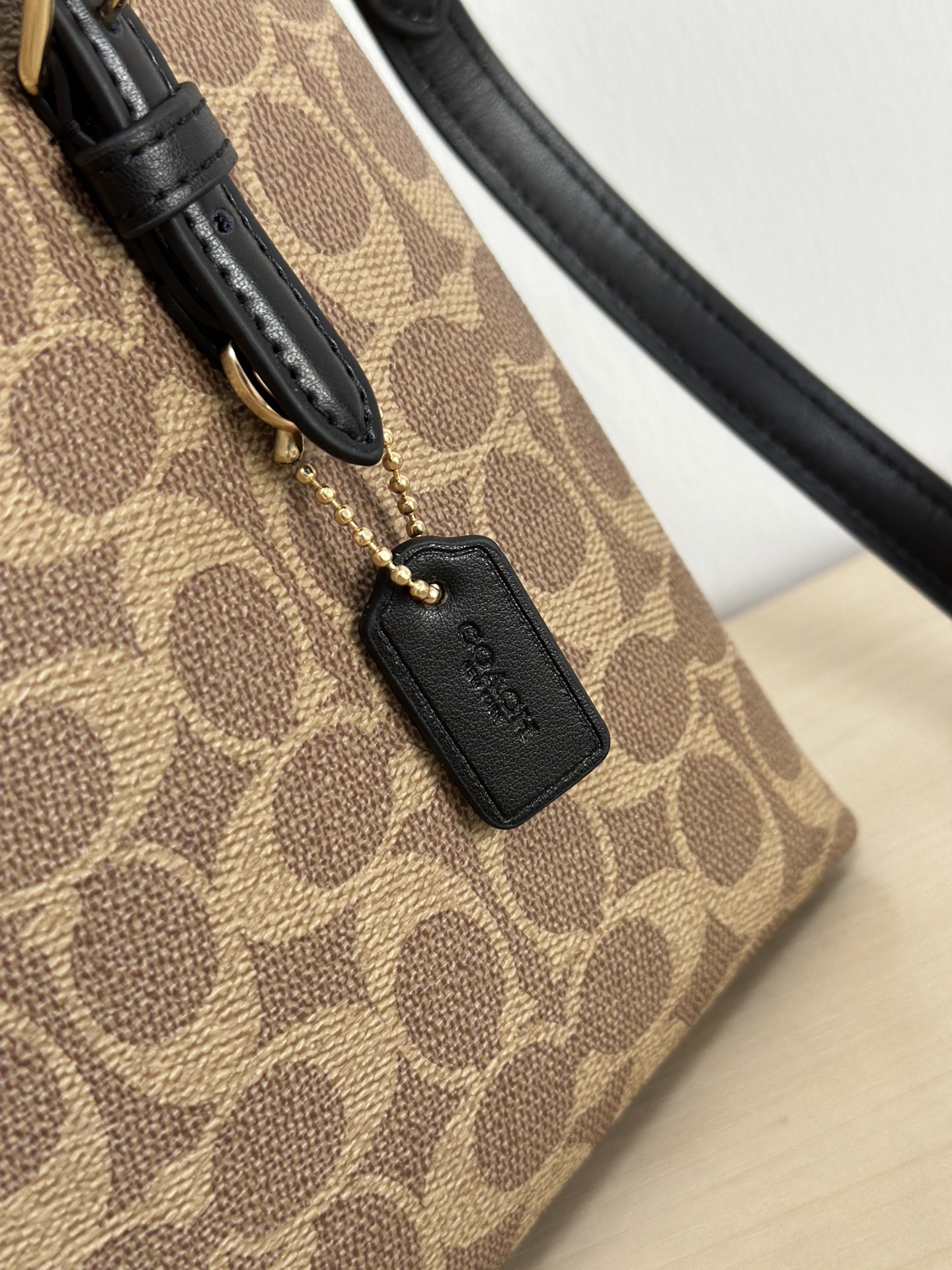 Coach ～纯原coach蔻驰CV965 Mollie25系列 托特斜挎包