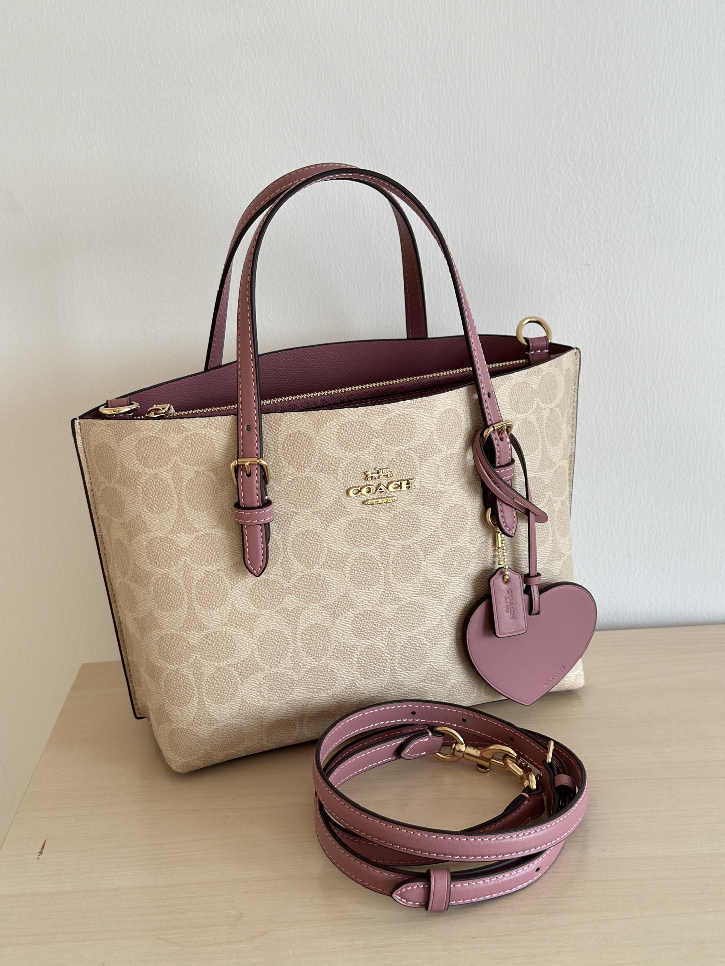 Coach Carriage Mollie 25 Tote Crossbody Bag