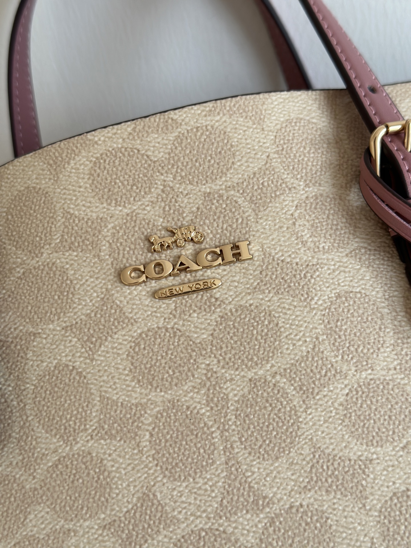 Coach Carriage Mollie 25 Tote Crossbody Bag
