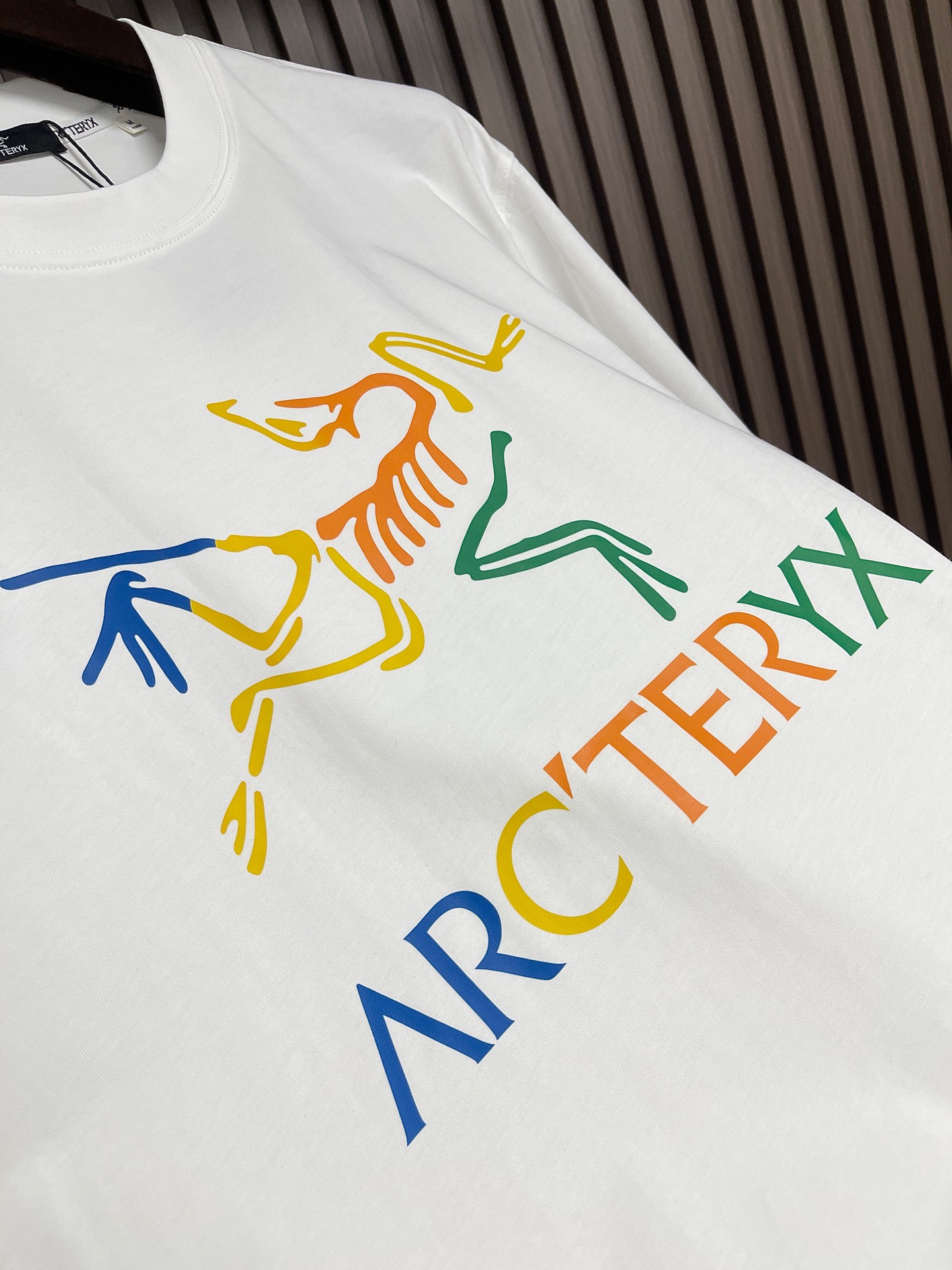 🛒🛒Arcteryx 2026SS 始祖鸟手绘涂鸦骨龙短袖T恤 男女同款，原版定制辅料 吊牌 洗水唛防尘纸，250克 双