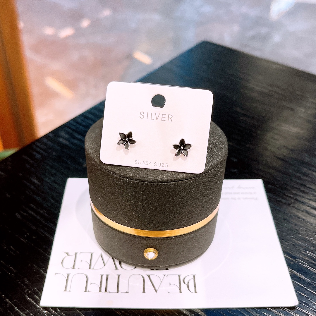 Nickel Free Silver Earrings Premium Travel Silver