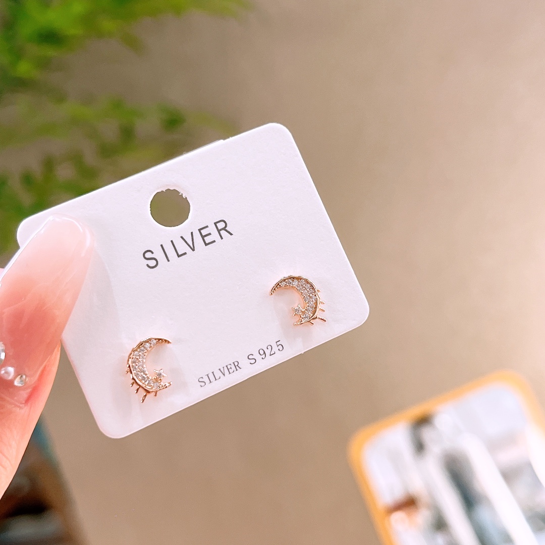 S925 Sterling Silver Earrings Precision Office Silver