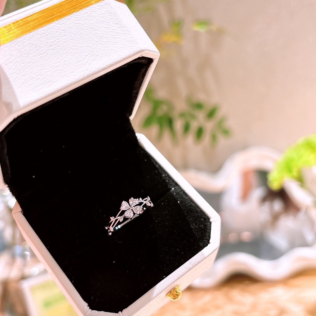 925 Silber Ring Französisch Geschenk für sie Silber