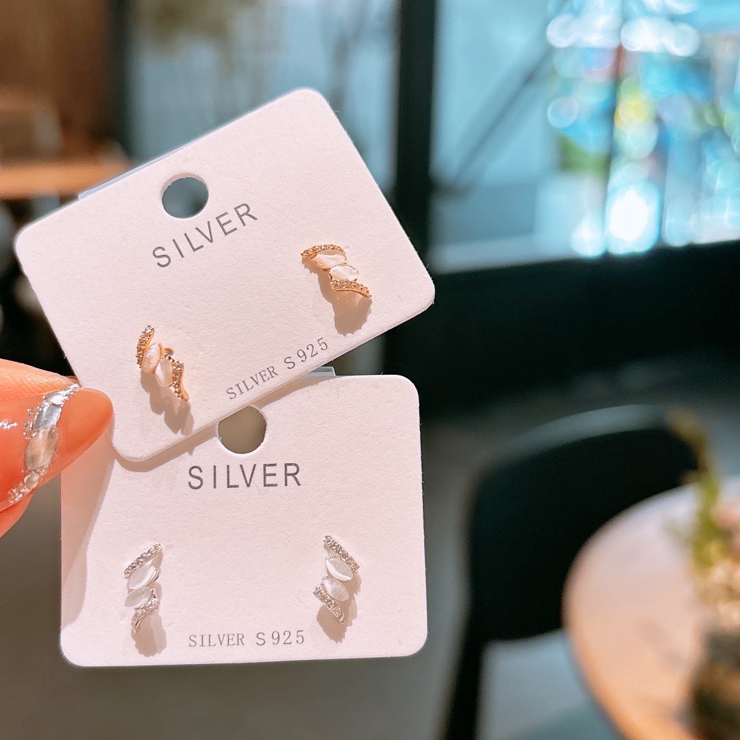 925 Silver Earrings Pure Travel Silver