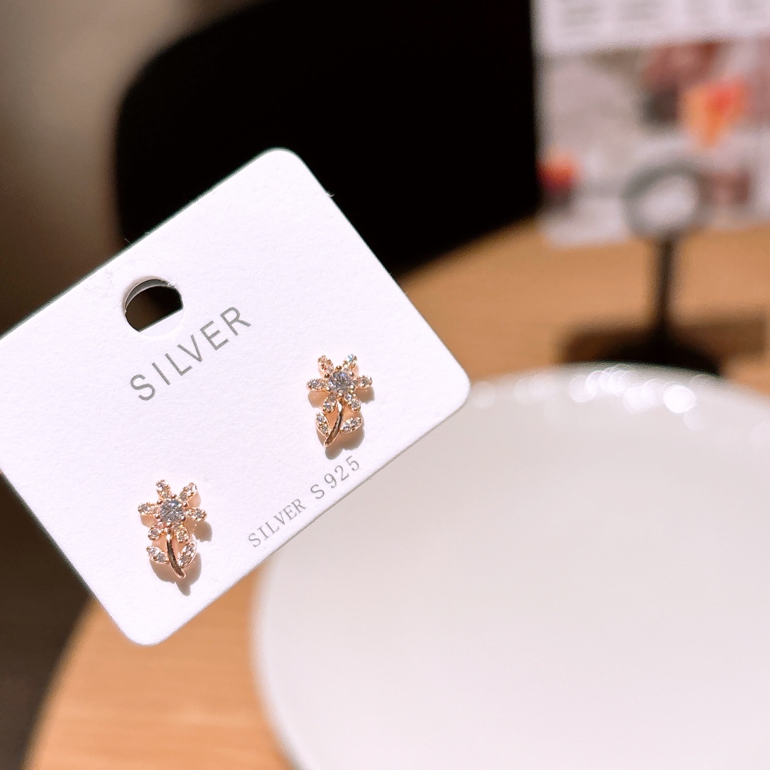 925 Silver Earrings French Proposal Silver