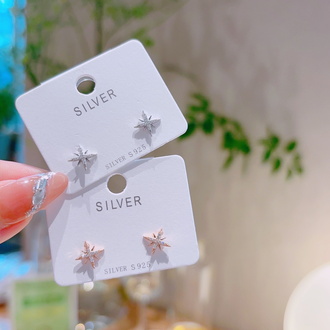 Allergiearmes Silber Ohrringe Mode Lehrertag Silber