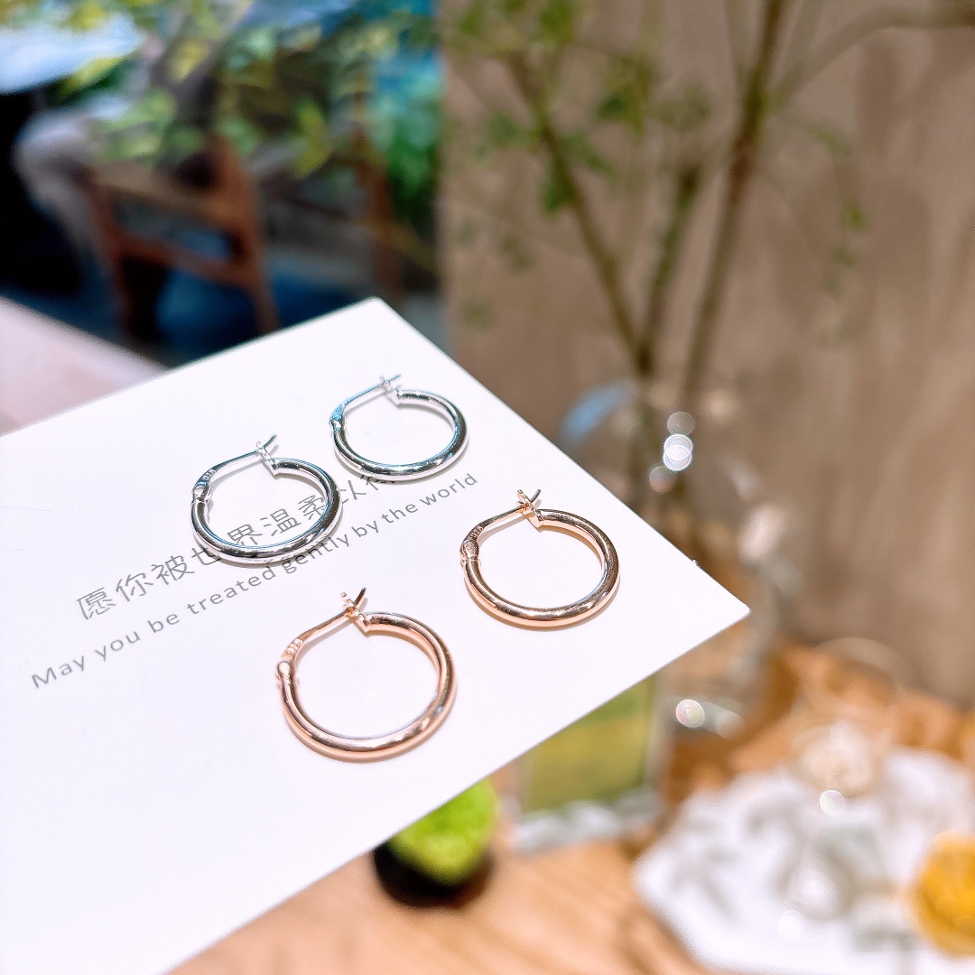 Nickel Free Silver Hoop Earrings Gentle New Year Gold