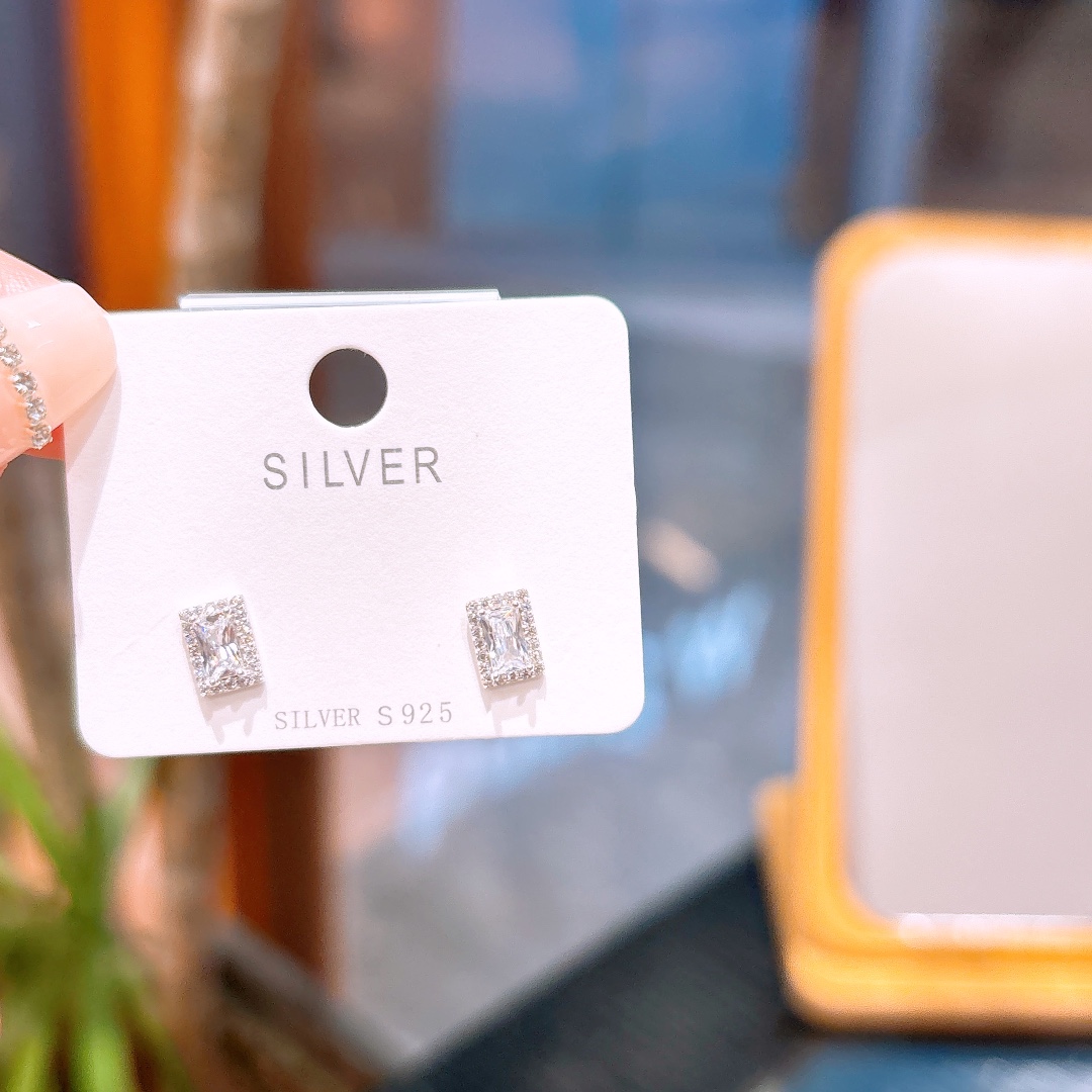 S925 Sterling Silver Earrings Intellectual Workplace Silver