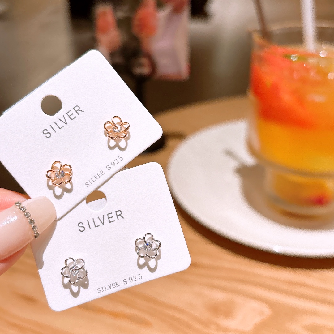 Hypoallergenic Silver Earrings Fresh Housewarming Silver