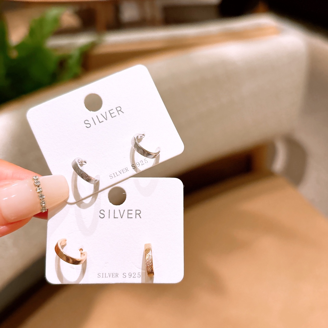 Hypoallergenic Silver Earrings Elegant Travel Silver