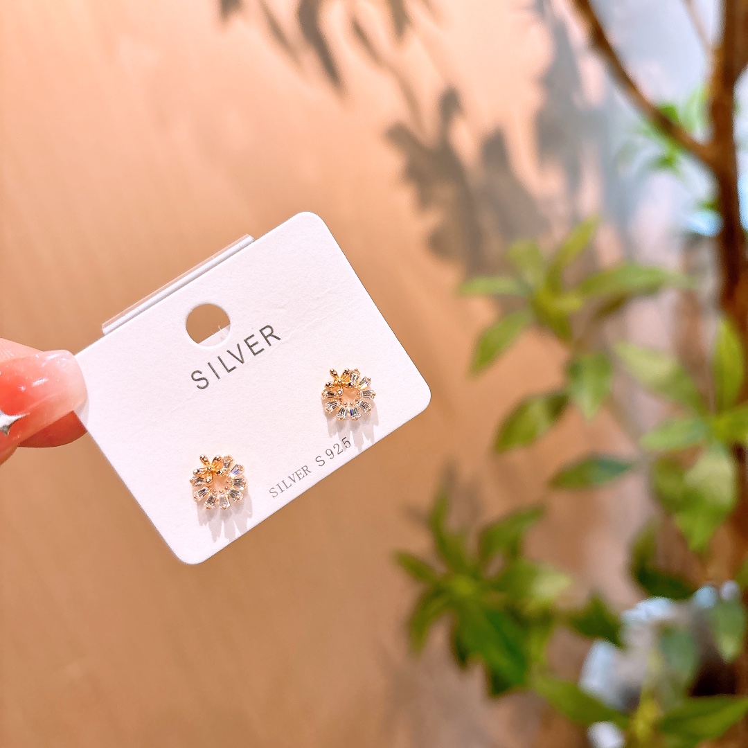 Low Allergy Silver Earrings Ins Style Party Gold