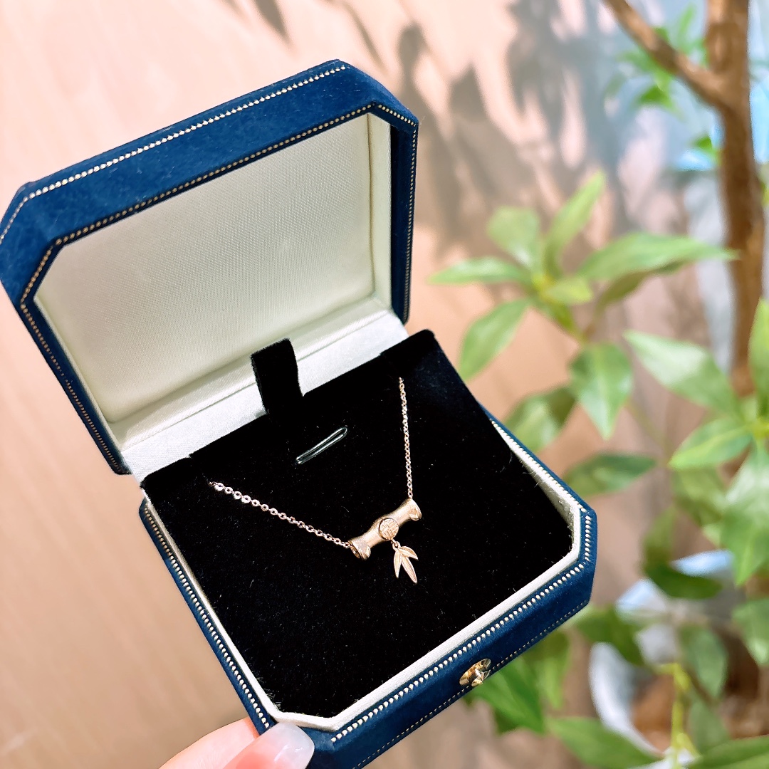 Low Allergy Silver Necklace Gentle Teacher's Day Silver