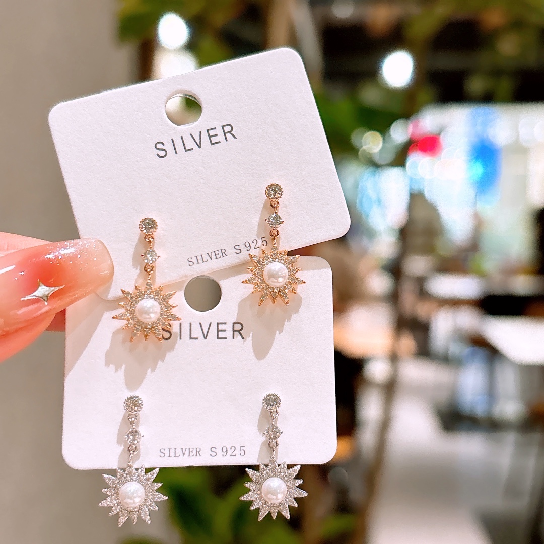 High Polish Silver Earrings Precision Travel Gold