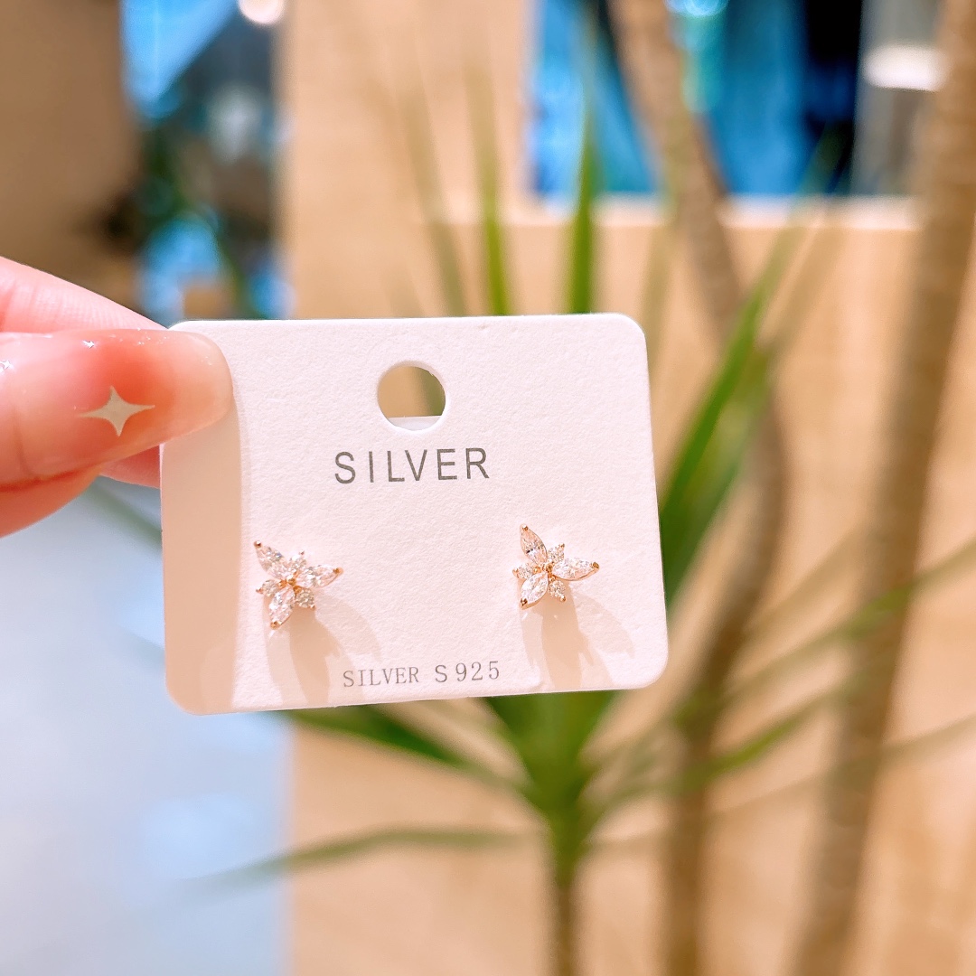 Low Allergy Silver Earrings Intellectual Wedding Registration Silver