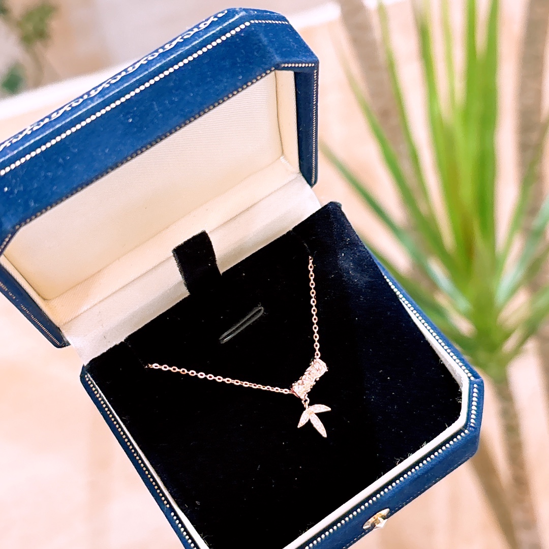 Hypoallergenic Silver Earrings Playful Housewarming Gold