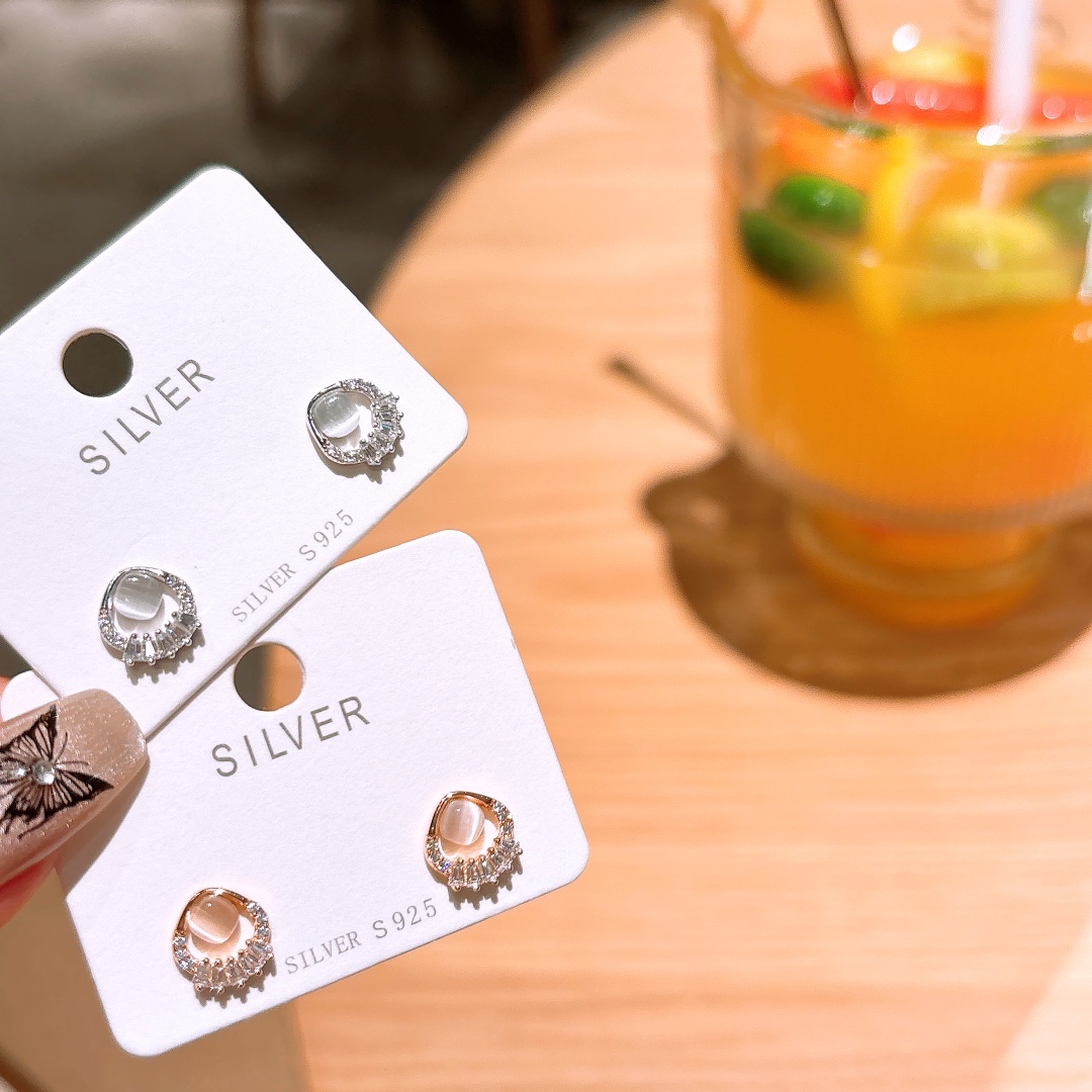 925 Silver Earrings Light Luxury Travel Silver