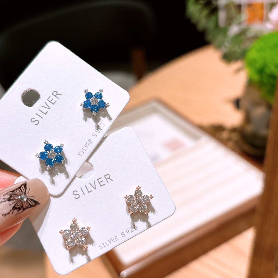 Solid Silver Earrings Pure Travel Silver