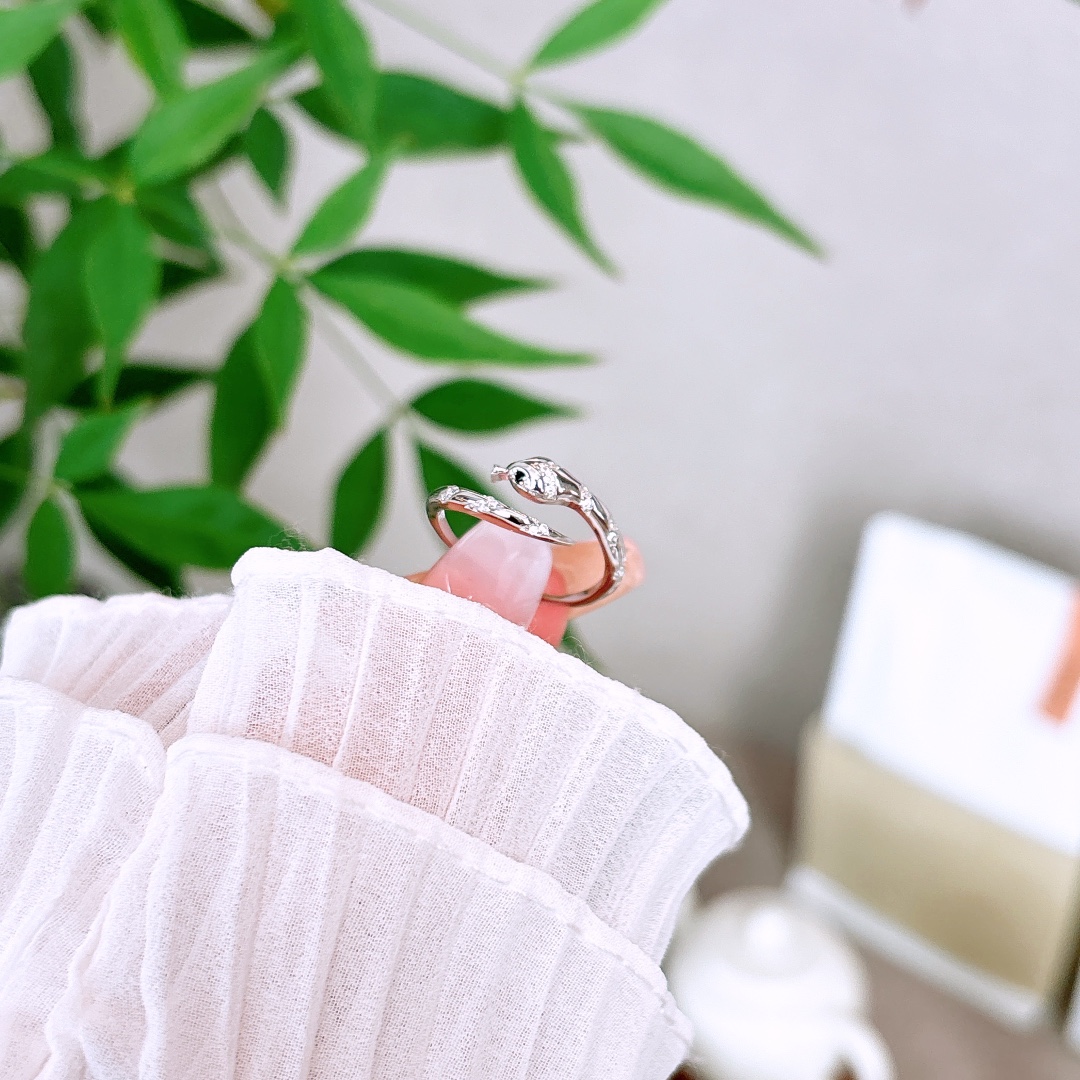 High Polish Silver Ring Fresh Office Silver