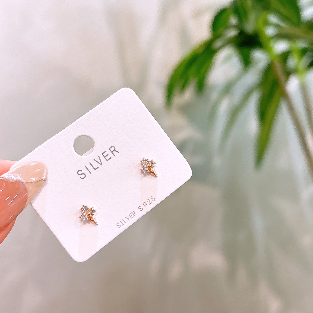 Hypoallergenic Silver Earrings Fashion Self-love Gold