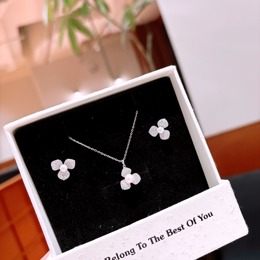 S925 Sterling Silver Earrings & Necklace Set Unique Travel Silver