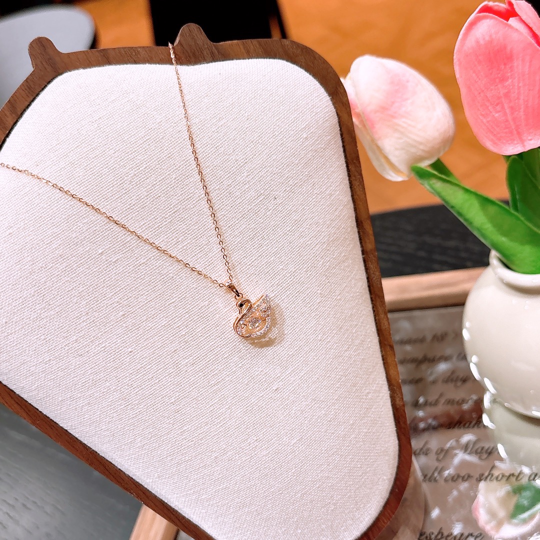 Hypoallergenic Silver Necklace Chic Housewarming Gold