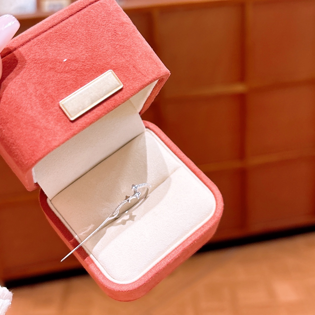 知性的ファインシルバーリングシルバー 記念日