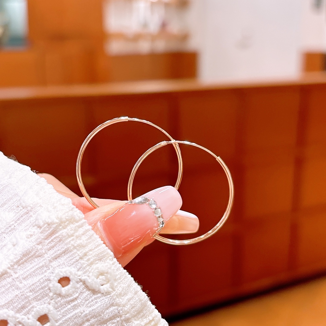 Nickel Free Silver Hoop Earrings Intellectual Housewarming Gold