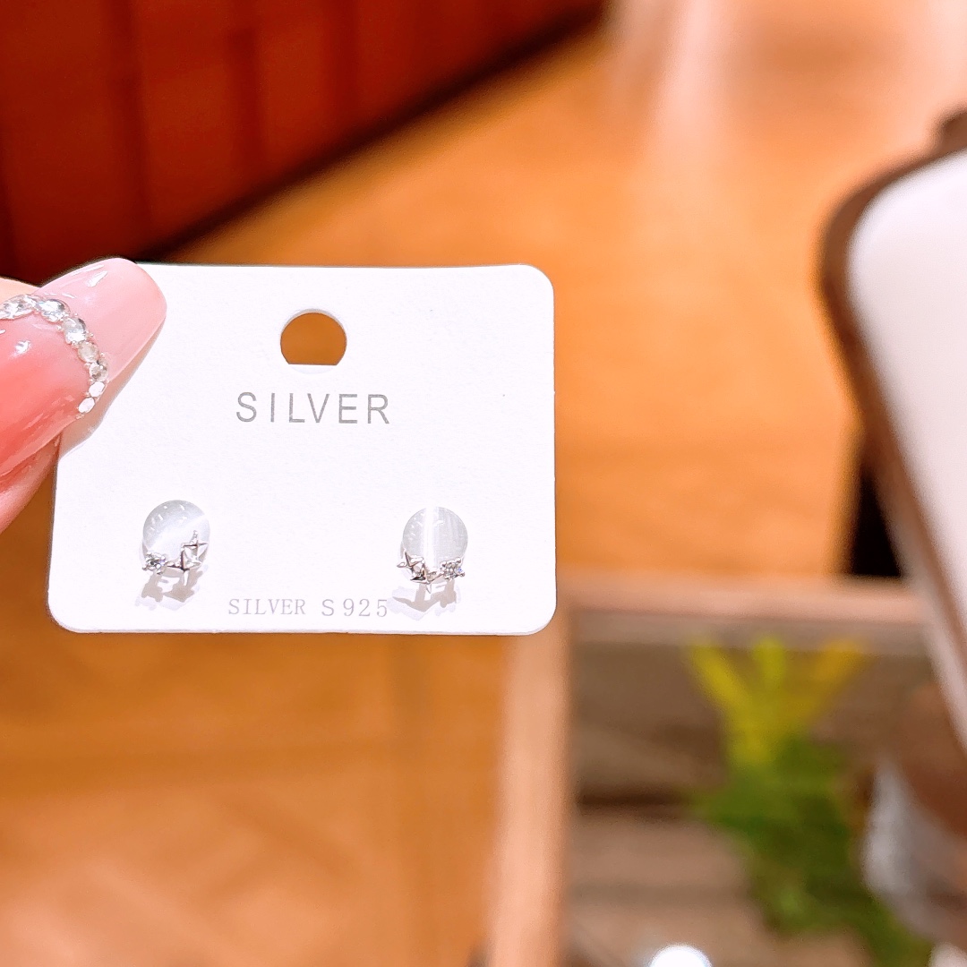 Low Allergy Silver Earrings Chic Father's Day Silver