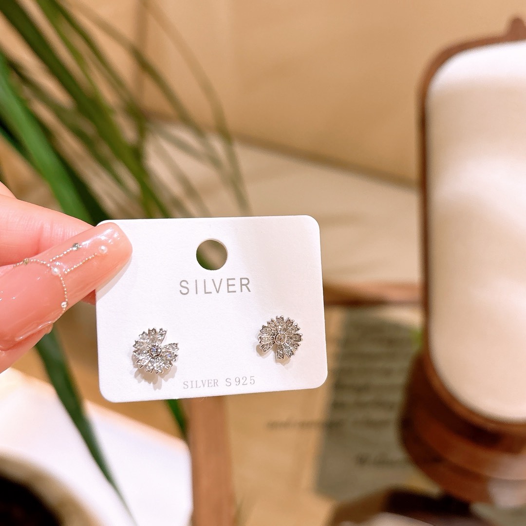 Low Allergy Silver Earrings Chic Bestie Gift Gold