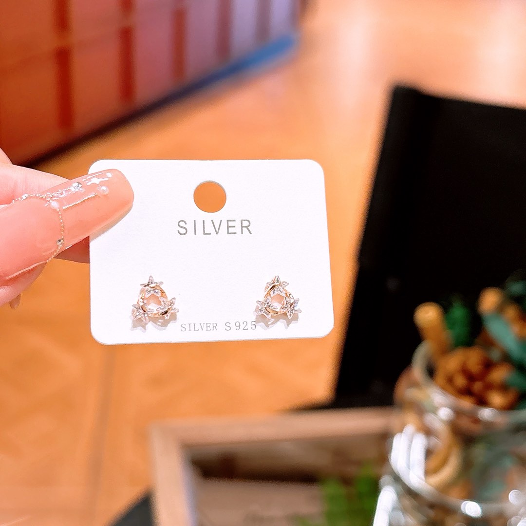 Hypoallergenic Silver Earrings Premium Party Silver