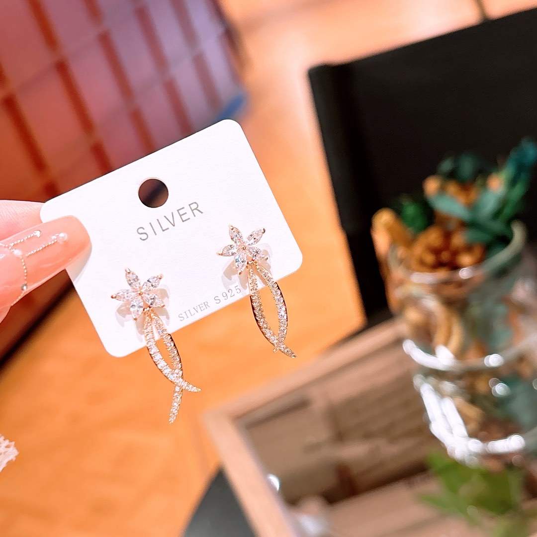 Low Allergy Silver Earrings Premium Housewarming Gold